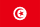 Flag of تونس